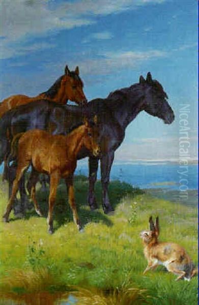 Horses And Hare In A Coastal Meadow - view 1