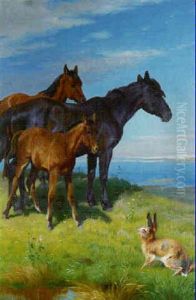 Horses And Hare In A Coastal Meadow