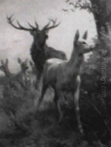Stag With Deer Stag With Deer