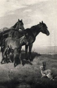 Begegnung Auf Der Wiese Begegnung Auf Der Wiese
