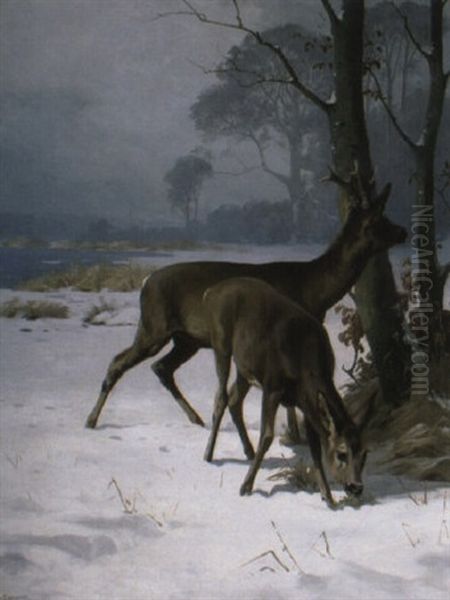Deer Near A Lake In Winter - view 1