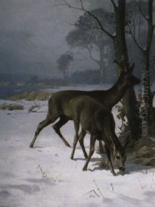 Deer Near A Lake In Winter Deer Near A Lake In Winter