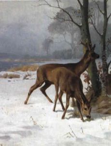 Sonnig Beleuchtete Winterlandschaft