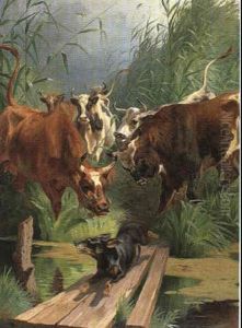 Koer Der Forskraekker En Gravhund