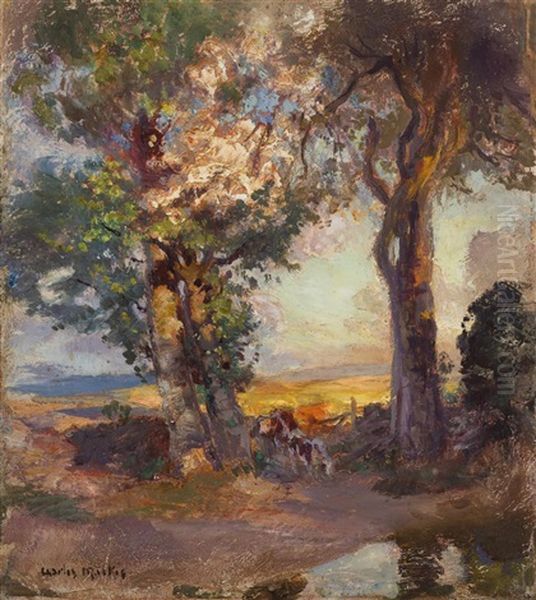 The Gean Tree Of Gartocharn - view 1