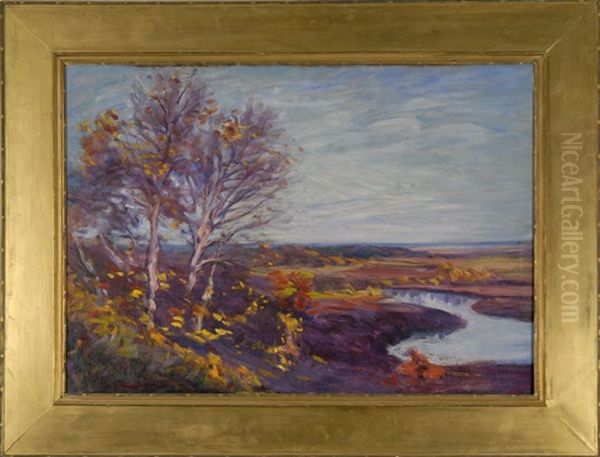 Marsh Landscape - view 1