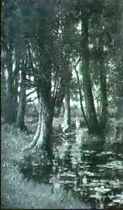 On The Kennett, Woodhampton, North Reading by Alexander Maclean