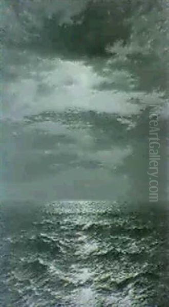 A Moonlight Symphony - view 1