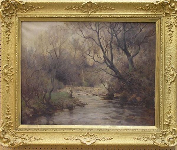 Quiet Stream - view 1