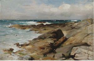 Gulls Above A Rocky Coastline by Robert Russell Macnee
