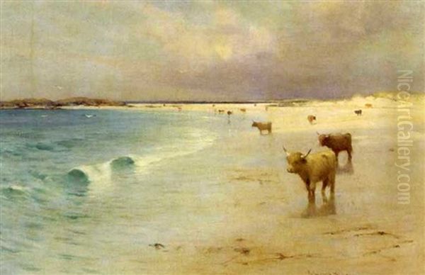 Longhorn Cattle On A Beach - view 1
