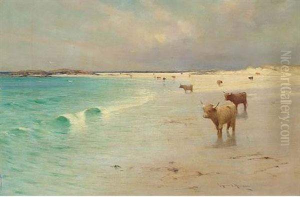 Highland Cattle On The Shore by Robert Russell Macnee