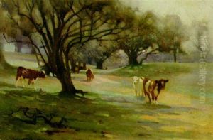 Calves In A Wooded Landscape