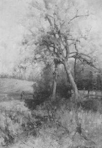 A Burn By The Woods
