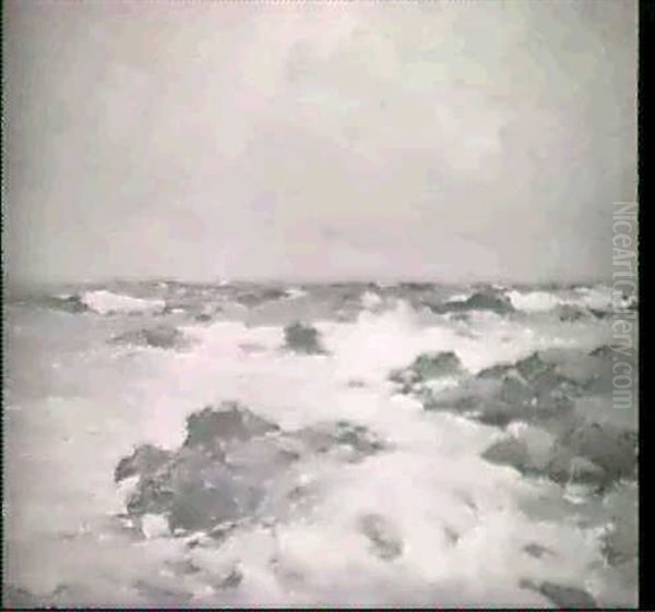 A Rocky Shore - view 1