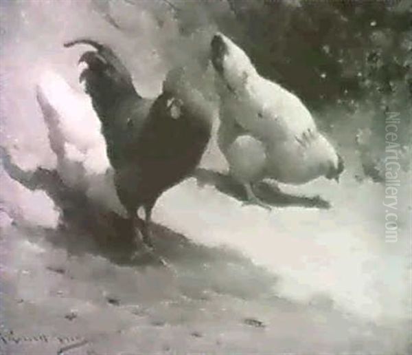 Chickens - view 1