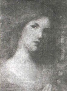 Illusions by Mary Lizzie Macomber