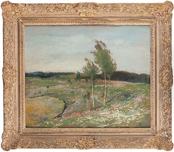 Birch Trees On A Blooming Meadow - view 1