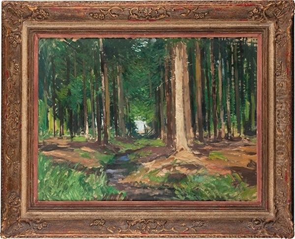 Forest Interior - view 1