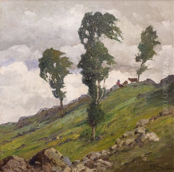 Krajina Za Vichrice - view 1