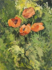 Wild Poppies