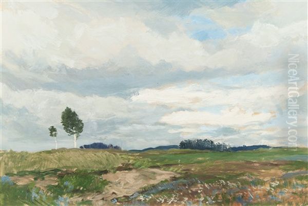 Vysoke Nebe - view 1