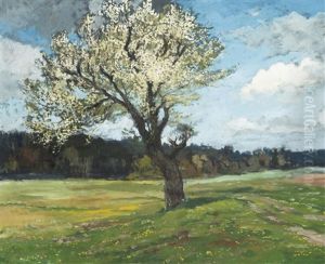 Pear Tree In Bloom