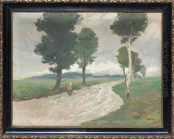 Zena Na Ceste - view 1
