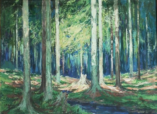 Forrest - view 1