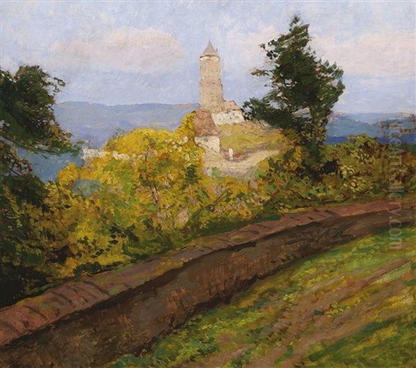 Hrad Pirkstejn - view 1