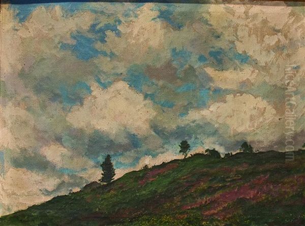 Landscape - view 1