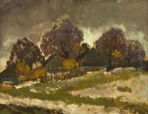 Prvni Snih by Gustav Macoun