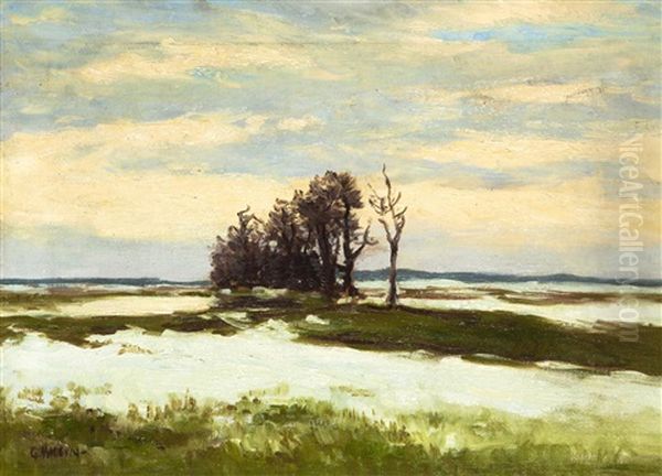 Vorfruhling - view 1
