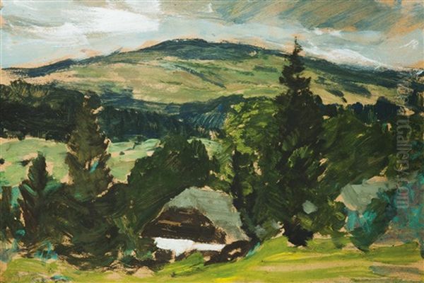 Motiv Aus Dem Bohmerwald - view 1