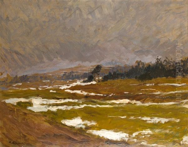 Landschaft Bei Schneeschmelze - view 1