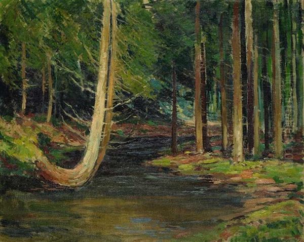 A Brook In A Forest - view 1