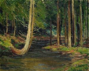 A Brook In A Forest A Brook In A Forest