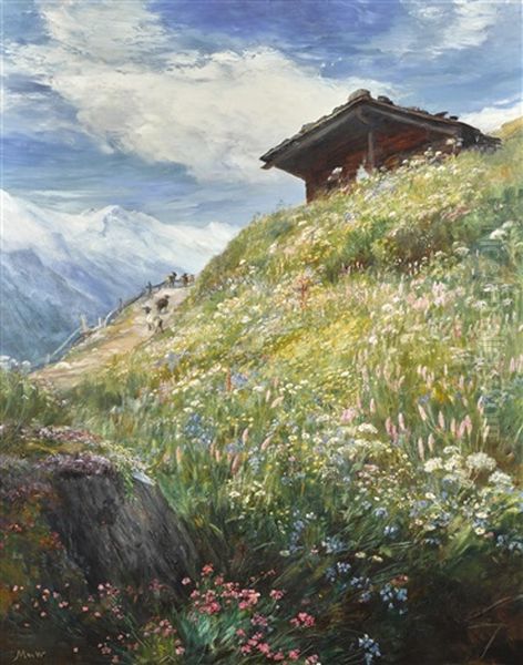An Alpine Meadow, Switzerland - view 1