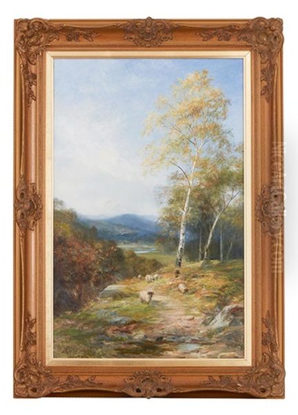 In The Birch Wood - view 1