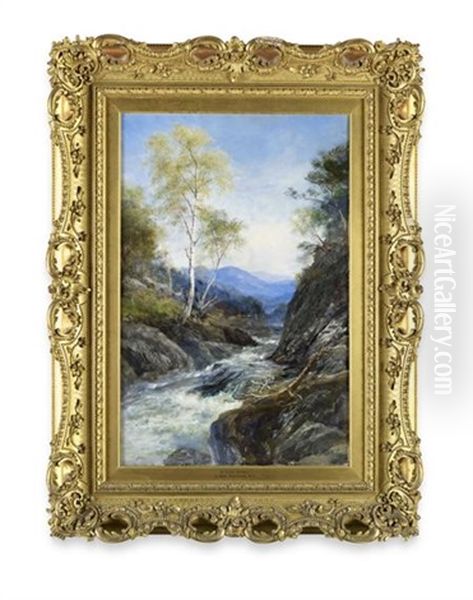 In Glen Affric - view 1