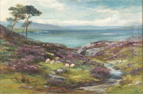 Heather And Sea, Kyle Of Lochalsh - view 1