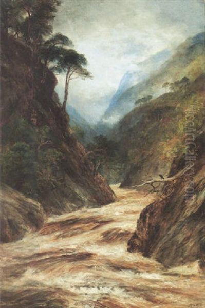 Glen Affrica, A Highland Ravine - view 1