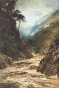 Glen Affrica, A Highland Ravine