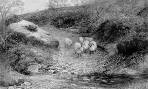 The Wanderers