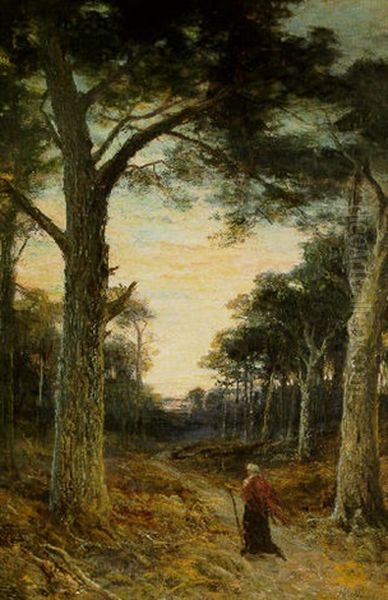 The Gates Of The Forest - view 1