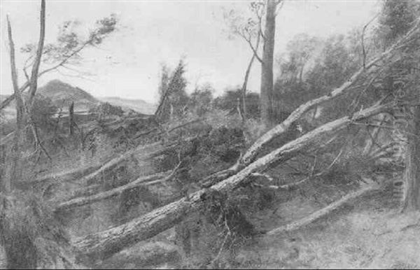 After The Storm - view 1