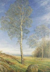 Birch Trees Budding by John MacWhirter