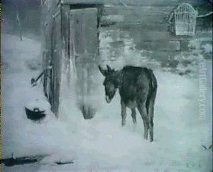 In The Cold In The Cold