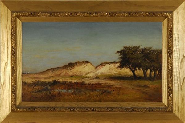 Dune Scene (nantucket?) - view 1