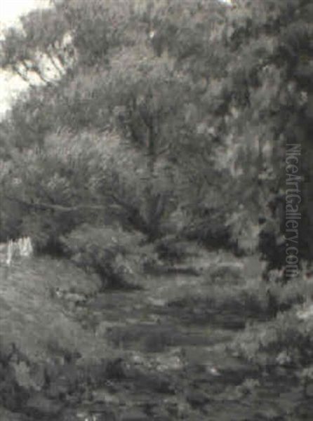 Landscape - view 1